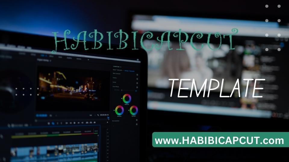 Habibi Capcut Template Download Without Watermark 